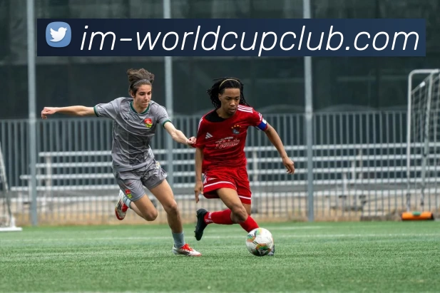 世俱杯投注APP 高清赛事图